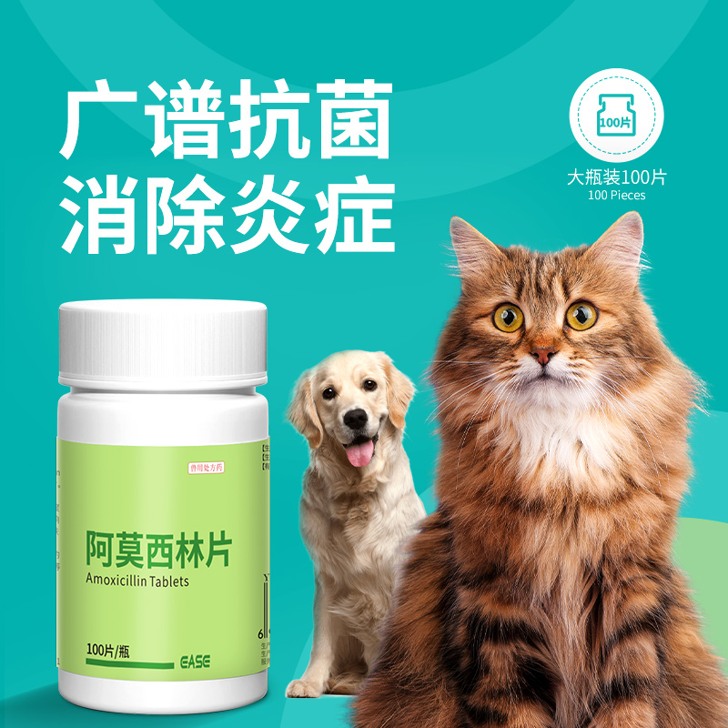 宠物猫咪感冒药消炎止咳