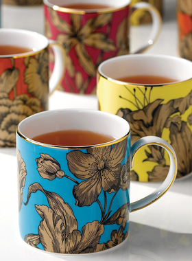 Wedgwood威基伍德极彩之花Vibrance骨瓷200ml马克杯欧式杯牛奶杯