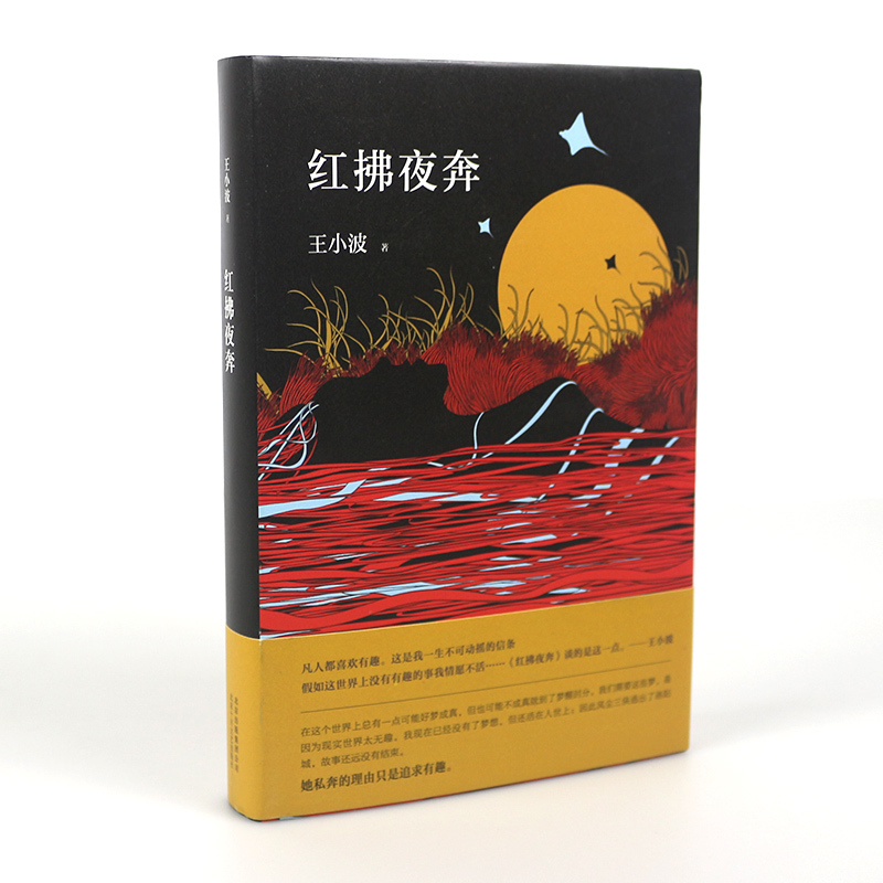 紅拂夜奔 文學 小說 中國當代小說 追憶思念之情 百日(瑞士當代小說譯叢) 對趣味的向往的書 王小波著百日全集時代三部曲