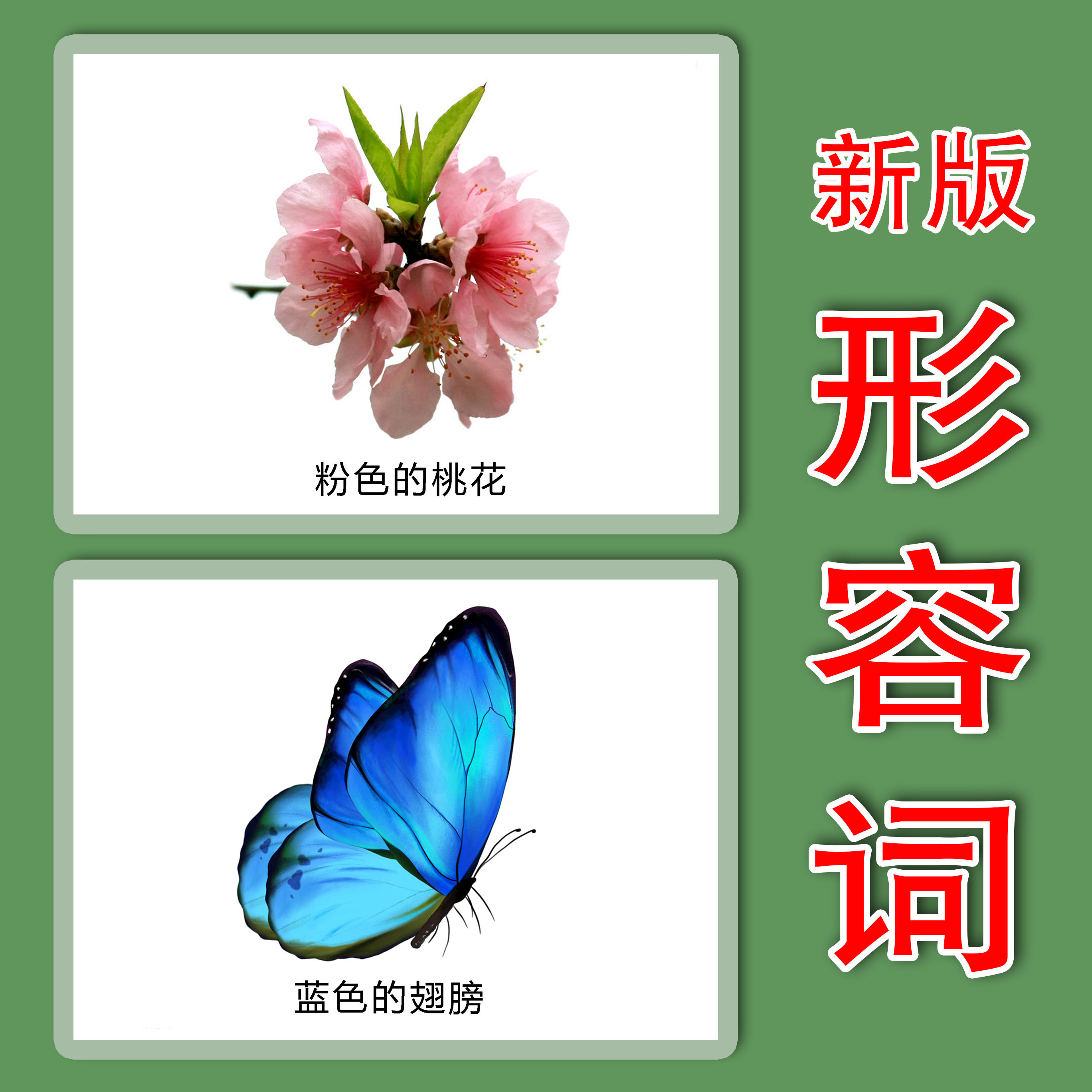 儿童 形容词训练宝宝看图说话语言发育迟缓 表达能力提升卡片教具