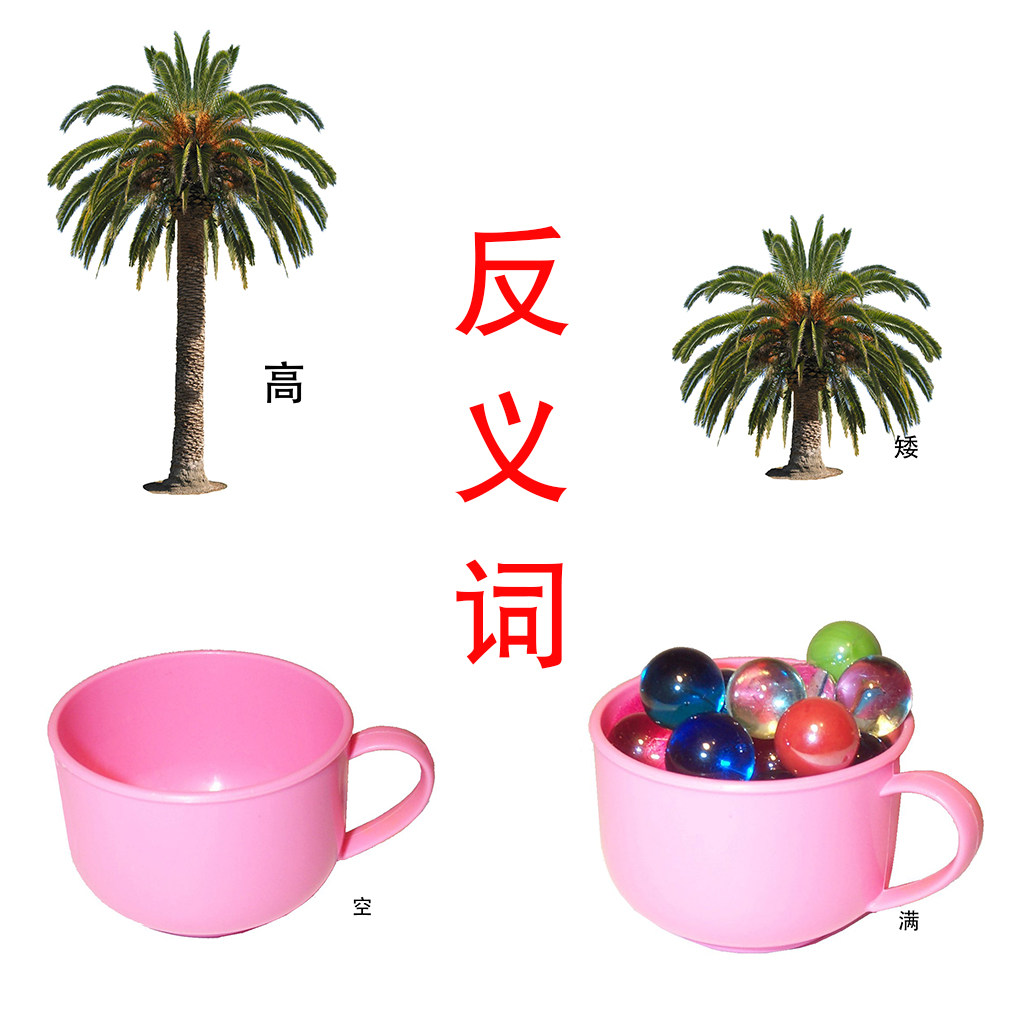 词语卡片有图 反义词 相对词一年级小学训练自闭症儿童语言训练卡