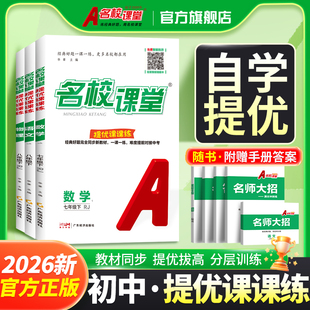 名校课堂提优课课练数学七八年级上下册英语提优训练同步培优专题必刷语文练习册中考真题训练同步教辅必刷题名校真题同步训练