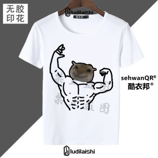 恶搞耄耋幻想大头猫抽象鼠鼠的幻想表情包男女短袖T恤上衣夏季款