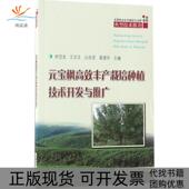 正版 宝枫丰产栽培种植技术开发与推广李岱龙等中国林业出版 书 元 社 包邮