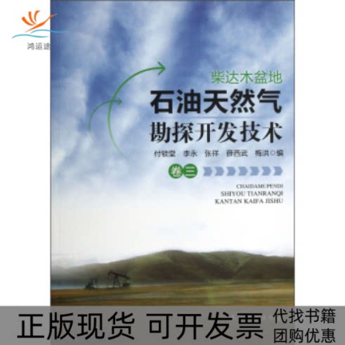 【正版书包邮】柴达木盆地石油天然气勘探开发技术卷三付锁堂石油工业出版社