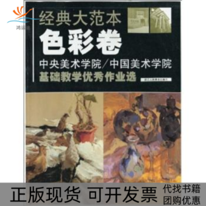 【正版书包邮】经典大范本色彩卷中央美术学院中国美术学院基础教学作业选安滨袁元浙江人民美术出版社
