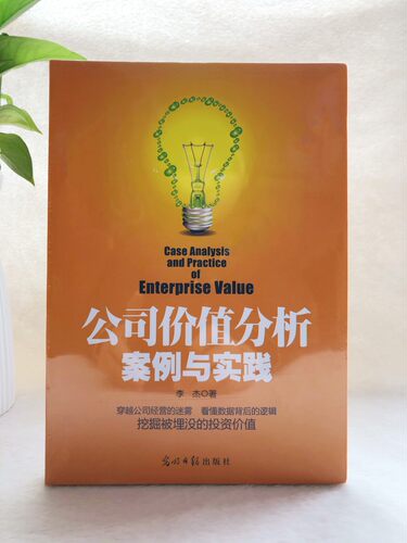 公司价值分析案例与实践李杰光