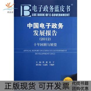 中国电子政务发展报告十年回顾与展望洪毅杜平社会科学文献出版 包邮 正版 社 书