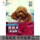 包邮 书 聪明伶俐贵宾犬泰迪熊爱宠嘉年华系列丛书拍拍宠客中国农业 正版