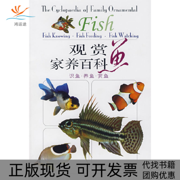 【正版书包邮】观赏鱼家养百科识鱼养鱼养鱼郭志泰上海文化出版社