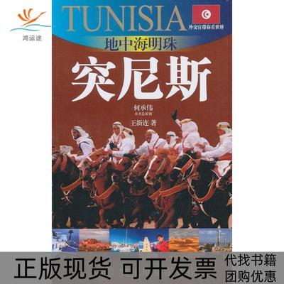【正版书包邮】地中海明珠--突尼斯(外交官带你看世界)王新连　著上海文艺出版集团发行有限公司（上海锦绣文章）