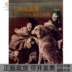 【正版书包邮】阳光高原徐匡作品集北京画院学术丛书王明明文化艺术出版社