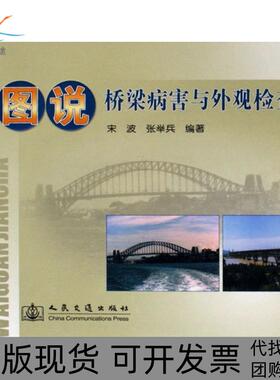 【正版书包邮】图说桥梁病害与外观检查宋波张举兵人民交通
