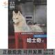 威武雅士哈士奇犬拍拍宠客中国农业出版 包邮 书 社 正版