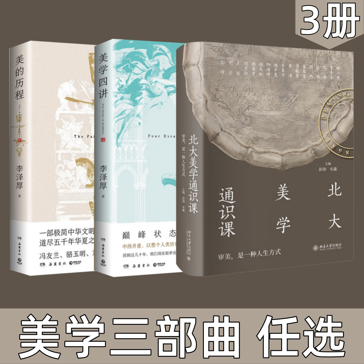 【美学三部曲 任选】北大美学通识课+美学四讲+美的历程 彭锋 讲座实录 附赠课堂视频 中国古代佛教艺术欣赏 敦煌艺术 中国美术史