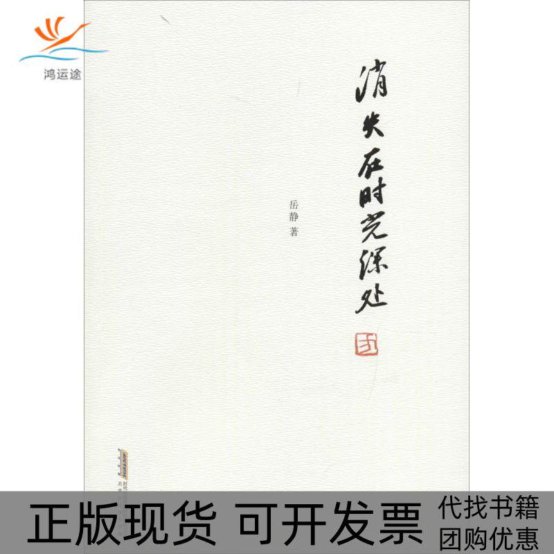 【正版书包邮】消失在时光深处岳静北京时代华文书局