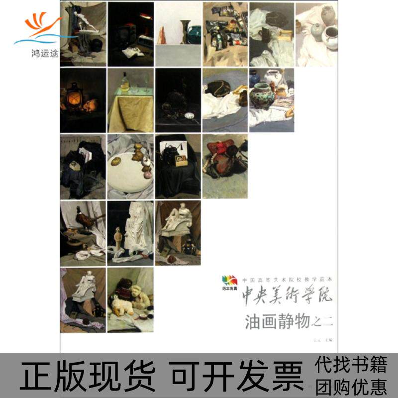 【正版书包邮】中央美术学院油画静物之二中国高等艺术院校教学范本袁元人民美术出版社