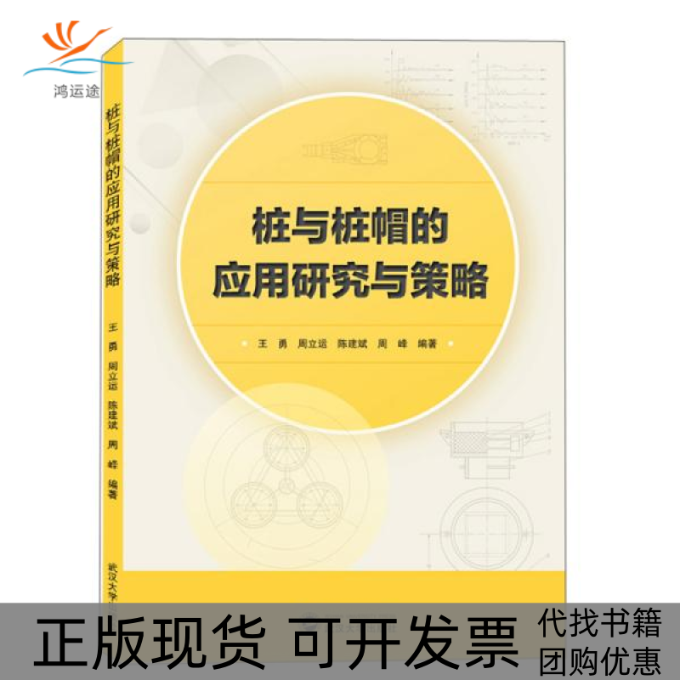 【正版书包邮】桩与桩帽的应用研究与策略王勇周立远陈建斌周峰武汉大学出版社