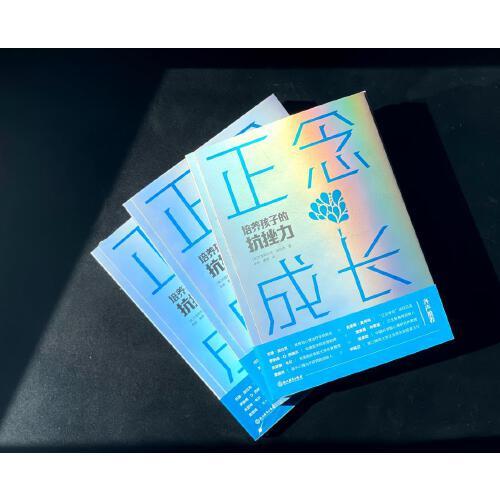 正版图书 正念成长：培养孩子的抗挫力 克里斯托弗·威拉德 浙江教育出版社 9787572216107