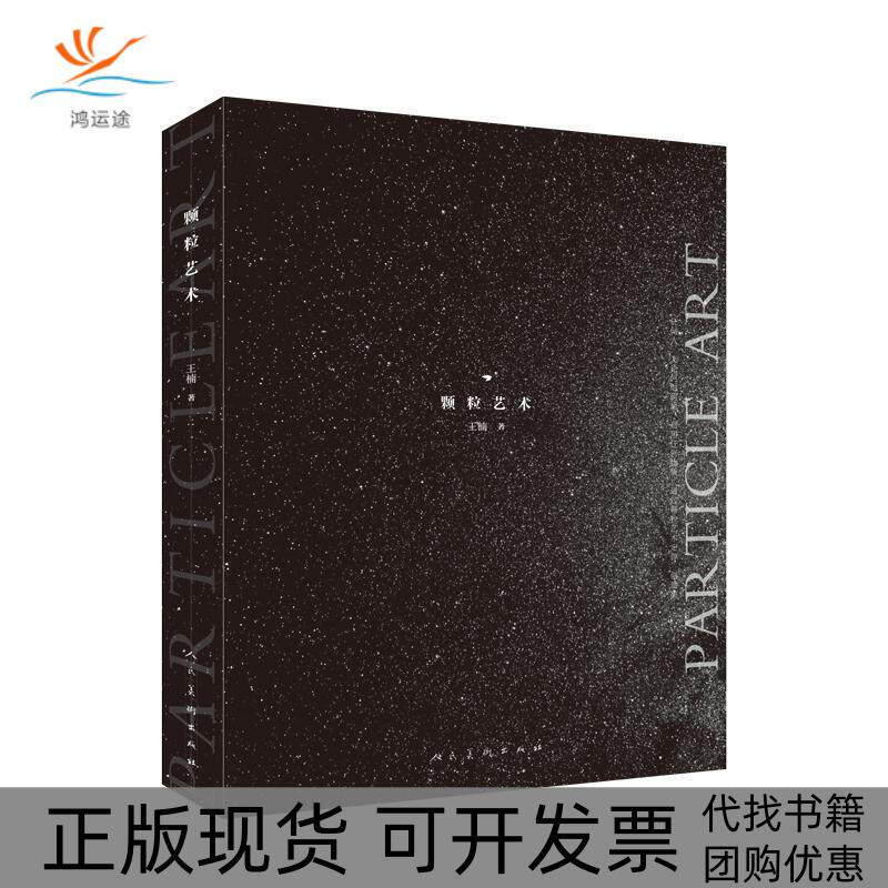 【正版书包邮】颗粒艺术王楠人民美术出版社