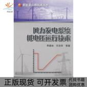 风力发电系统低电压运行技术李建林许洪华等作机械工业出版 包邮 书 社 正版