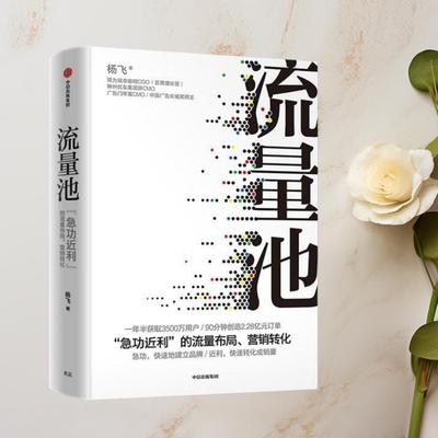 正版现货流量池杨飞著