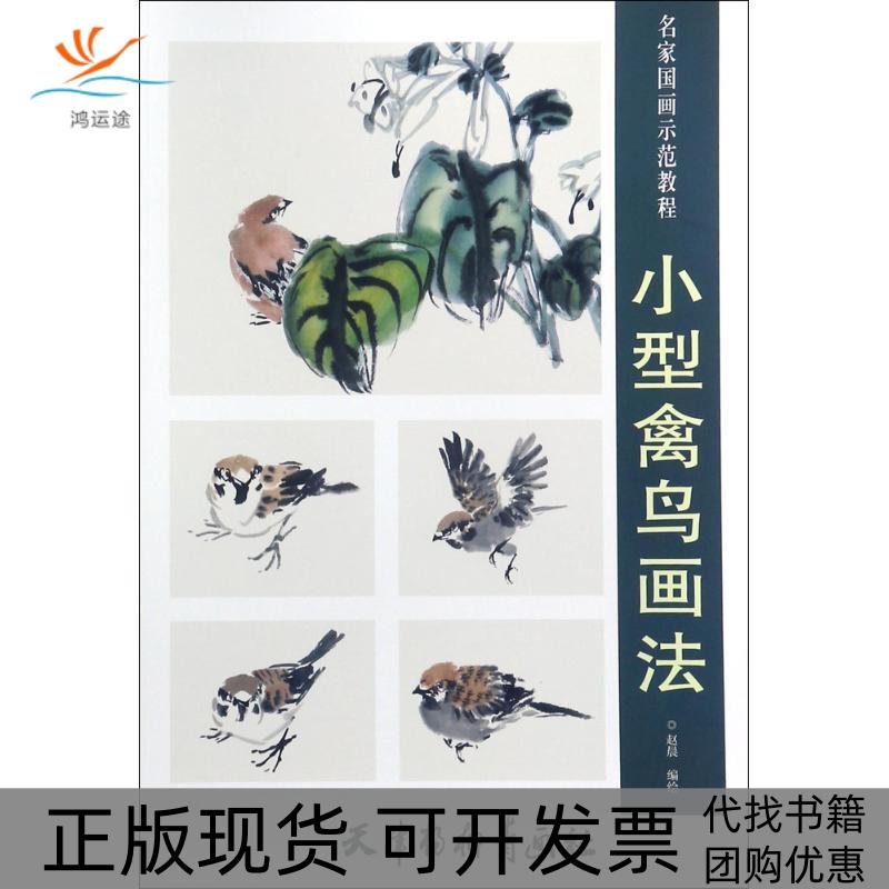 【正版书包邮】小型禽鸟画法8K赵晨北京师范大学出版社