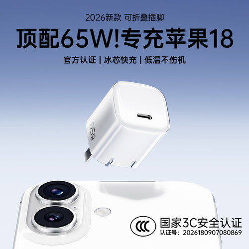 【新机专用】塔菲克65W充电头