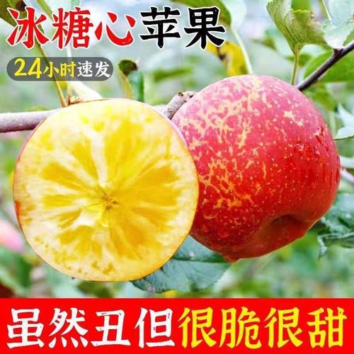 正宗云南昭通丑苹果冰糖心新鲜水果脆甜孕妇当季富士整箱包邮