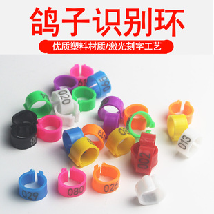 正略鸽子肉鸽信鸽脚圈活扣鸟用记号识别环超轻脚环标签公母记号环