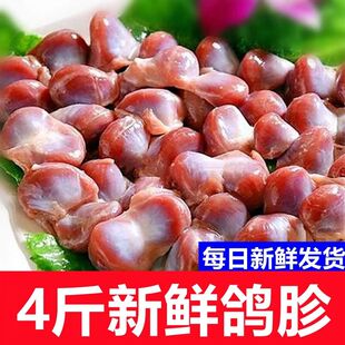 新鲜鸽胗鸽心商用烧烤火锅串串食材批发冰鲜发货原粮鸽子胗冷冻