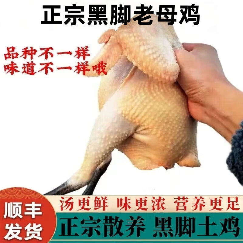 顺丰黑脚老母鸡整鸡生鲜