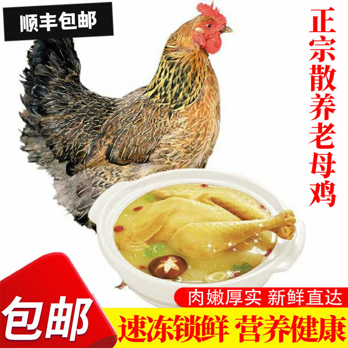 老母鸡 新鲜煲汤即食2年月子真空正宗老母土鸡黄油老母鸡