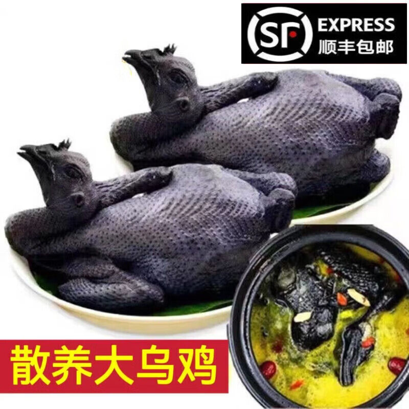鸡肉生鲜乌鸡农家新鲜宰杀正宗乌