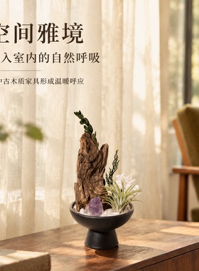 复古实木根雕自然系家居摆件