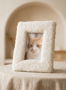 可爱卡通毛绒相框摆台女生卧室床头柜桌面摆件宠物纪念画框装饰品