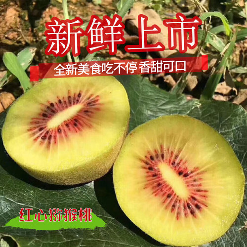 2025年江山红心猕猴桃纯甜无酸