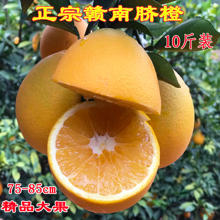 现摘江西赣南脐橙新鲜水果橙子整箱多省包邮,水产肉类/新鲜蔬果/熟食,橙,淘宝优惠券,粉丝福利购,淘宝优惠卷
