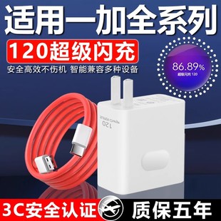 10Pro充电器Ace竞速版 7T充电头10A快充数据线 5pro闪充头一加9 适用一加120超级闪充1 ace2