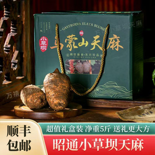 天麻新鲜正宗小草坝天麻仿野生特级云南昭通天麻礼盒装新鲜天麻