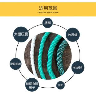 大棚压膜绳压膜线尼龙绳子滑轮用绳温室大棚专用压膜带防风绳结实