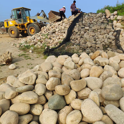 厂家河卵石河卵石园林景观石变电站用5-8cm供应铺路鹅卵石