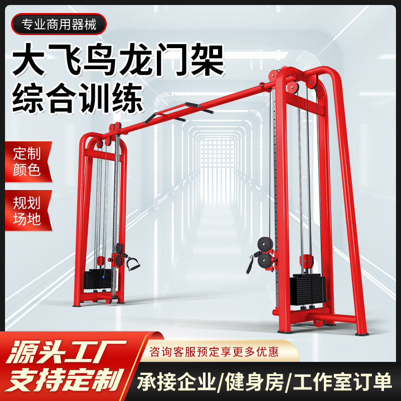 健身房器材大飞鸟综合训练器多功能引体向上双臂机龙门架健身器械