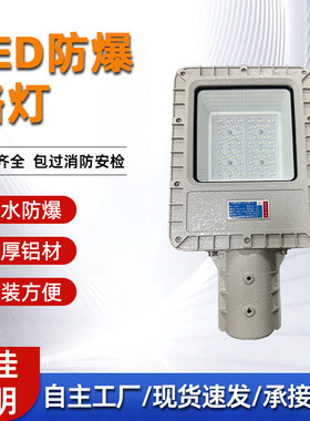 防爆路灯LED隔爆型照明灯100W加油站化工厂户外道路高杆路灯头