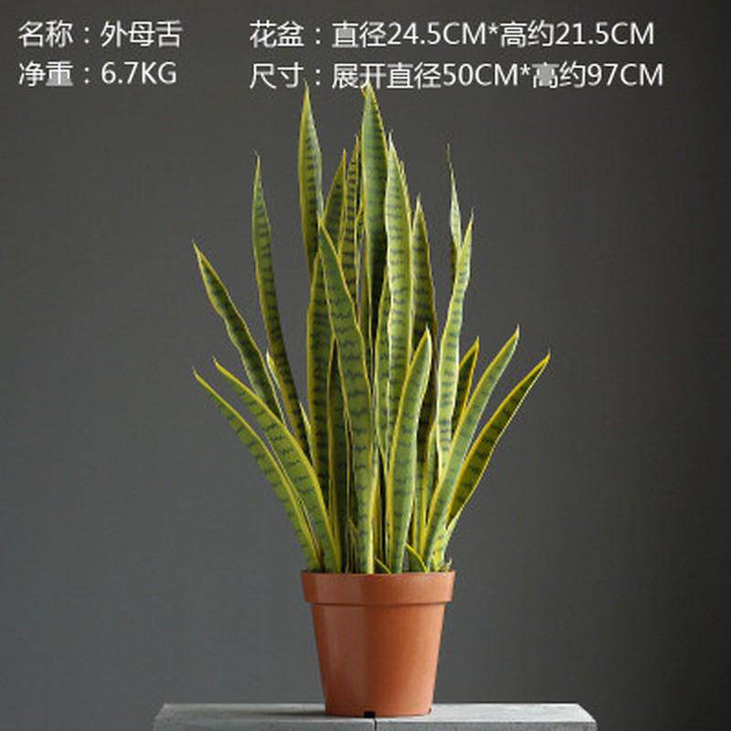 北欧落地绿植摆件家居客厅服装店仙人掌盆景装饰植物摆设批发