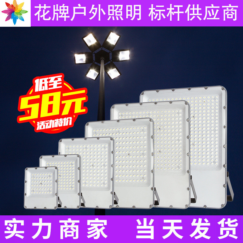 花牌照明 市电投光灯 泛光灯 户外防水亮化照明 工厂直销