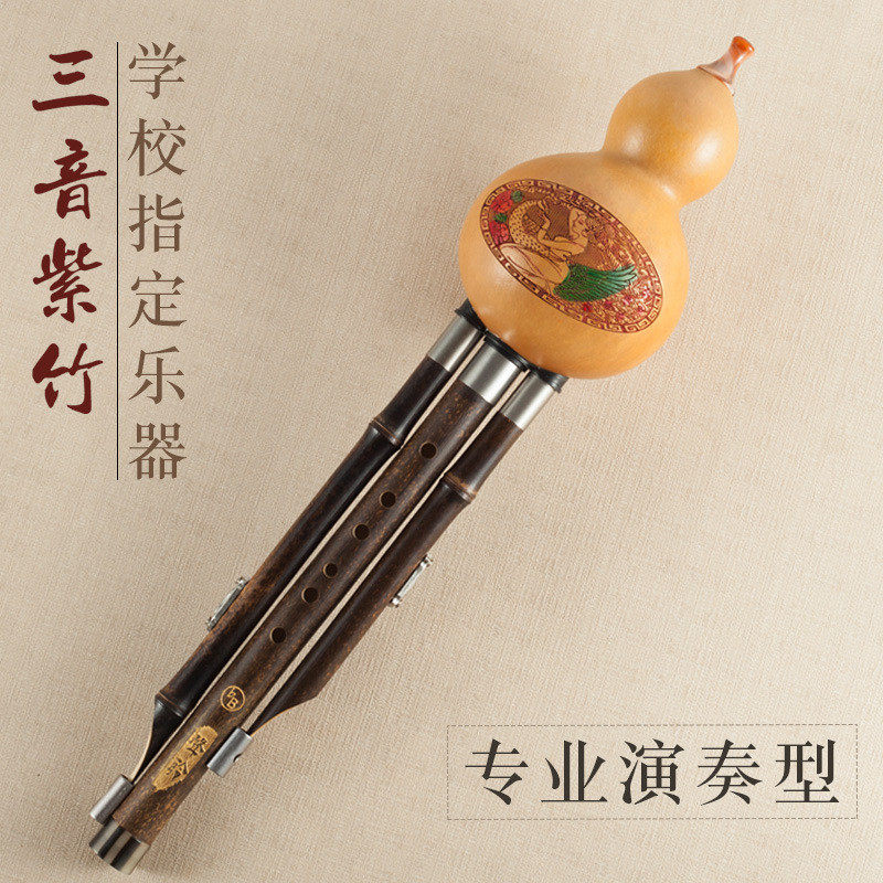 声聆葫芦丝专业演奏型c调降b调胡芦丝乐器初学小学生儿童送盒子书,乐器/吉他/钢琴/配件,萨克斯风,淘宝优惠券,粉丝福利购,淘宝优惠卷