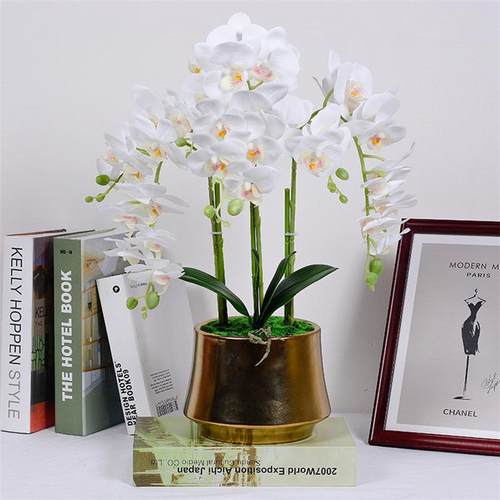 蝴蝶兰盆景假花客厅摆设装饰卧室内仿真绿植餐桌摆件盆栽装饰摆设