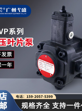 高压变量液压叶片泵TCVP-F30/F40-A1/A2/A3/A4注塑机油压泵