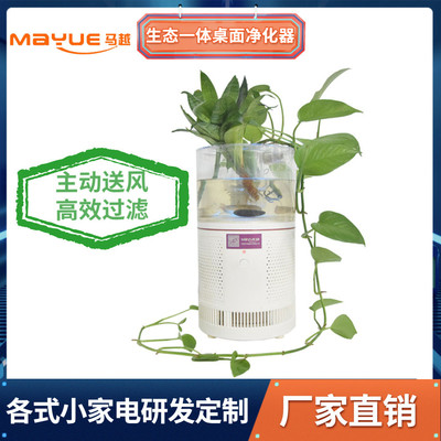 马越厂家生态一体桌面净化器办公室摆件简易加湿器家庭空气净化器